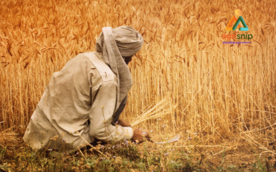 Farmers Ignored in Budget? Opposition Slams Govt in Lok Sabha