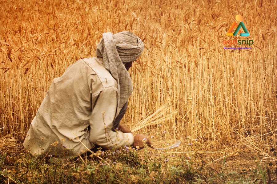 Farmers Ignored in Budget? Opposition Slams Govt in Lok Sabha