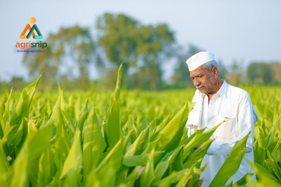 Karnataka Farmers’ Practices Hailed as ‘Best in the Country’ by Union Agriculture Minister Shivraj Chouhan