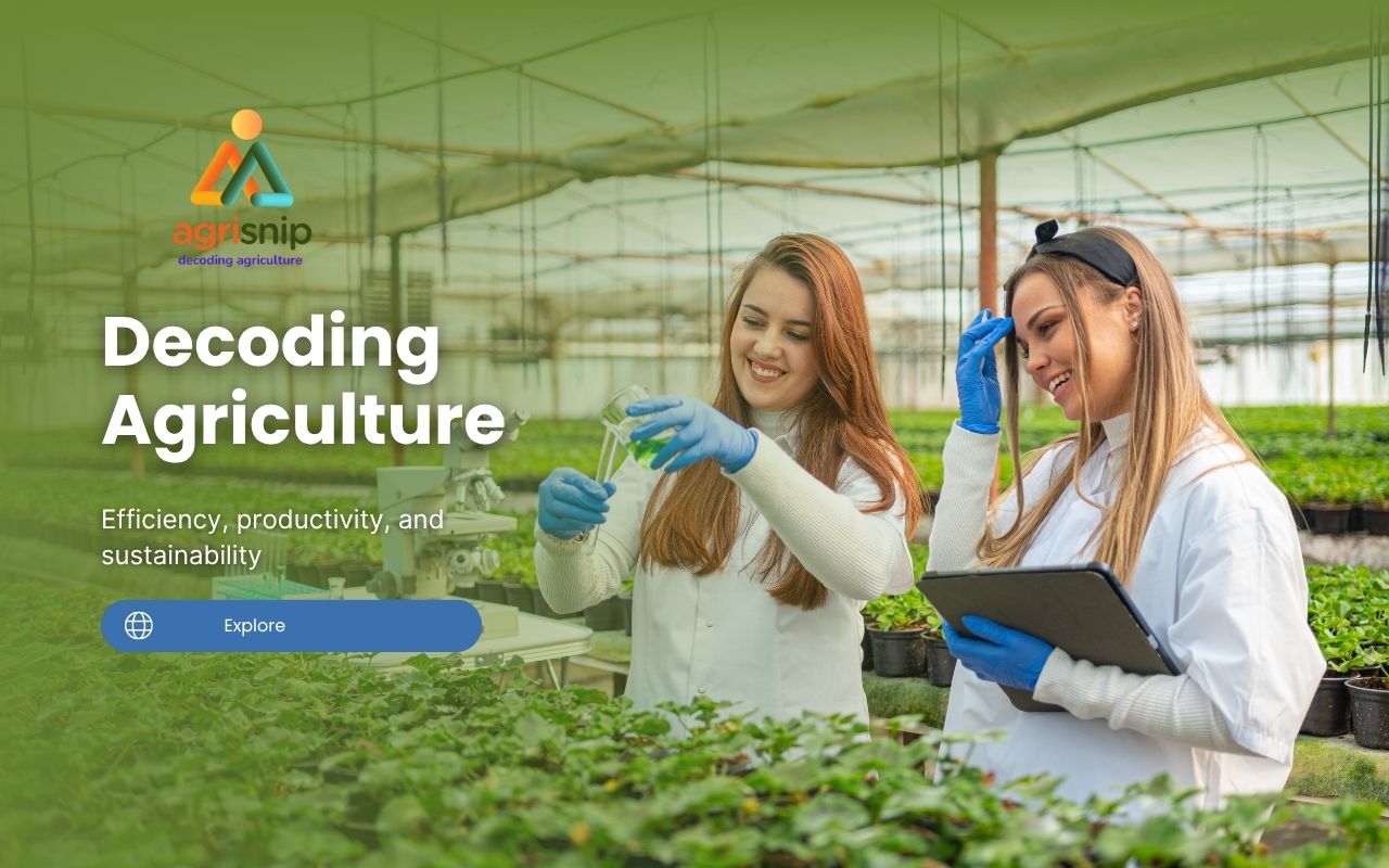 Green Modern Agricultural Website Desktop Prototype (2)