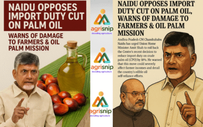 Chnadrababu Naidu Opposes Import Duty Cut on Palm Oil, Warns of Damage to Farmers & Oil Palm Mission
