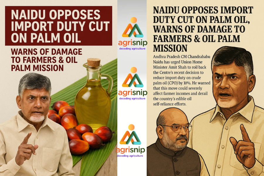 Chnadrababu Naidu Opposes Import Duty Cut on Palm Oil, Warns of Damage to Farmers & Oil Palm Mission