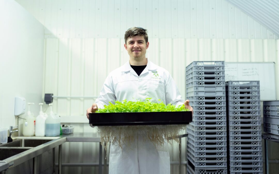 Scientist in a laboratory holding a tray of hydroponic plants, showcasing sustainable agriculture.