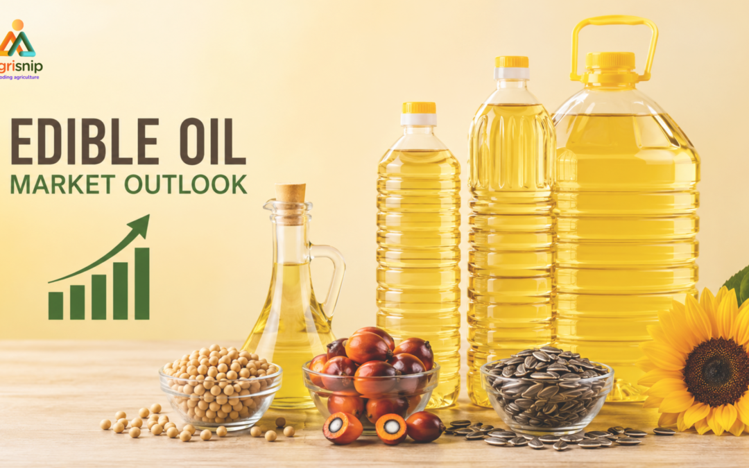 Edible oil bottles with soybean, palm and sunflower seeds alongside a rising market chart, representing higher edible oil prices in India.