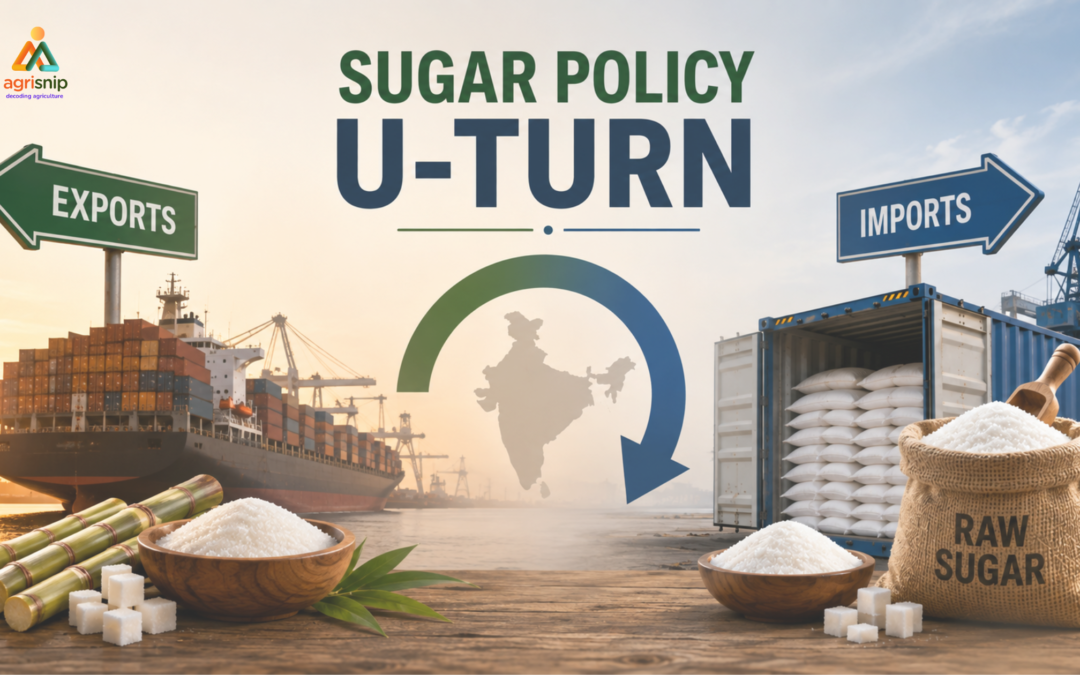 India’s sugar policy U-turn from exports to imports amid rising prices and supply concerns.