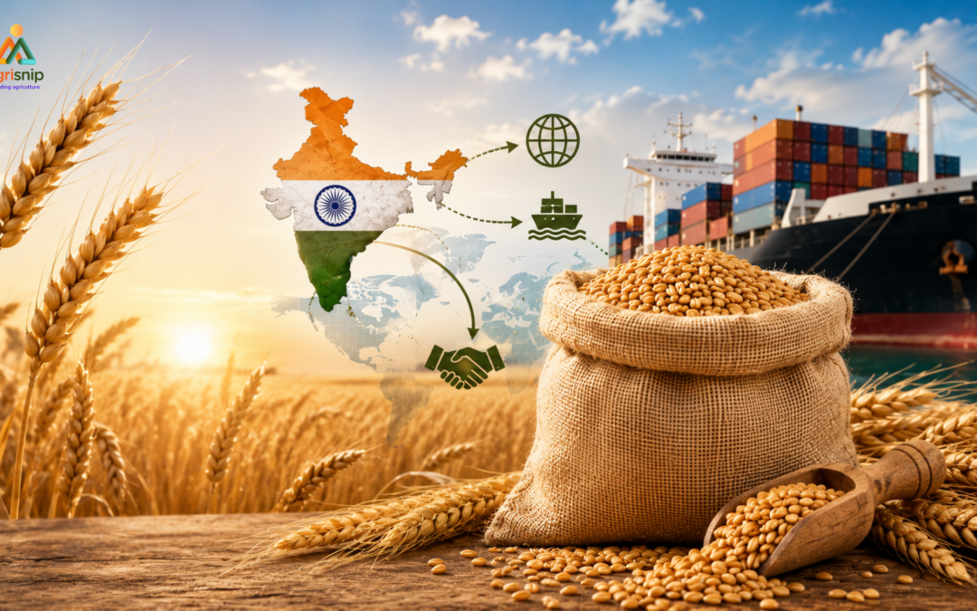 India lifts wheat export restrictions, with wheat fields, grain sacks, cargo ship, and India map illustrating expanded global wheat trade.