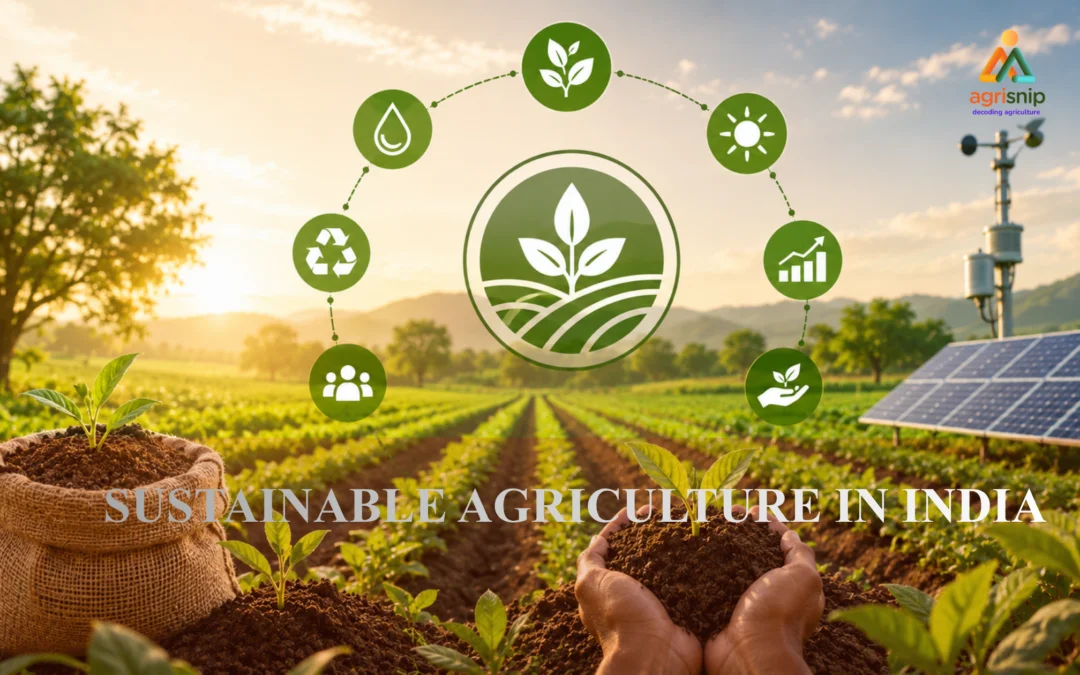 A sustainable agriculture landscape in India featuring green crop fields, solar panels, soil-rich plants, and eco-friendly agriculture icons representing climate-resilient farming practices.